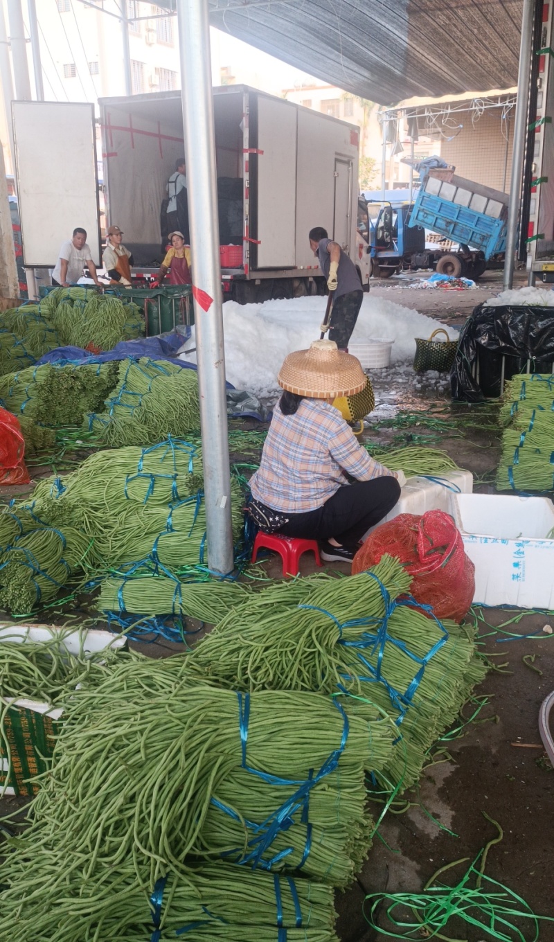 豆角