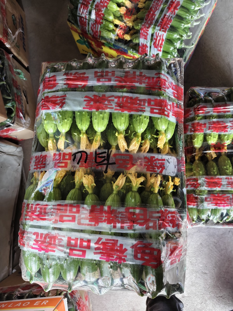 2.顶花带刺鲜黄瓜！本货站每日大量收售，通货/精品分级