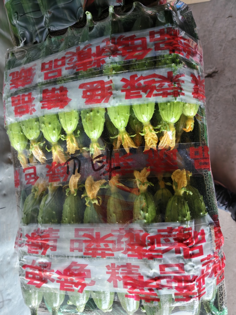 2.顶花带刺鲜黄瓜！本货站每日大量收售，通货/精品分级