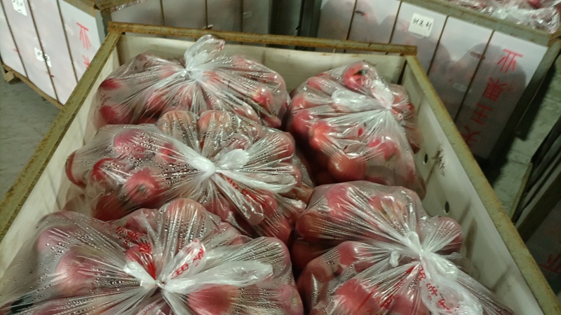 陕西咸阳乾县冷库现货2万斤纸袋70起步红富士，急需出售。
