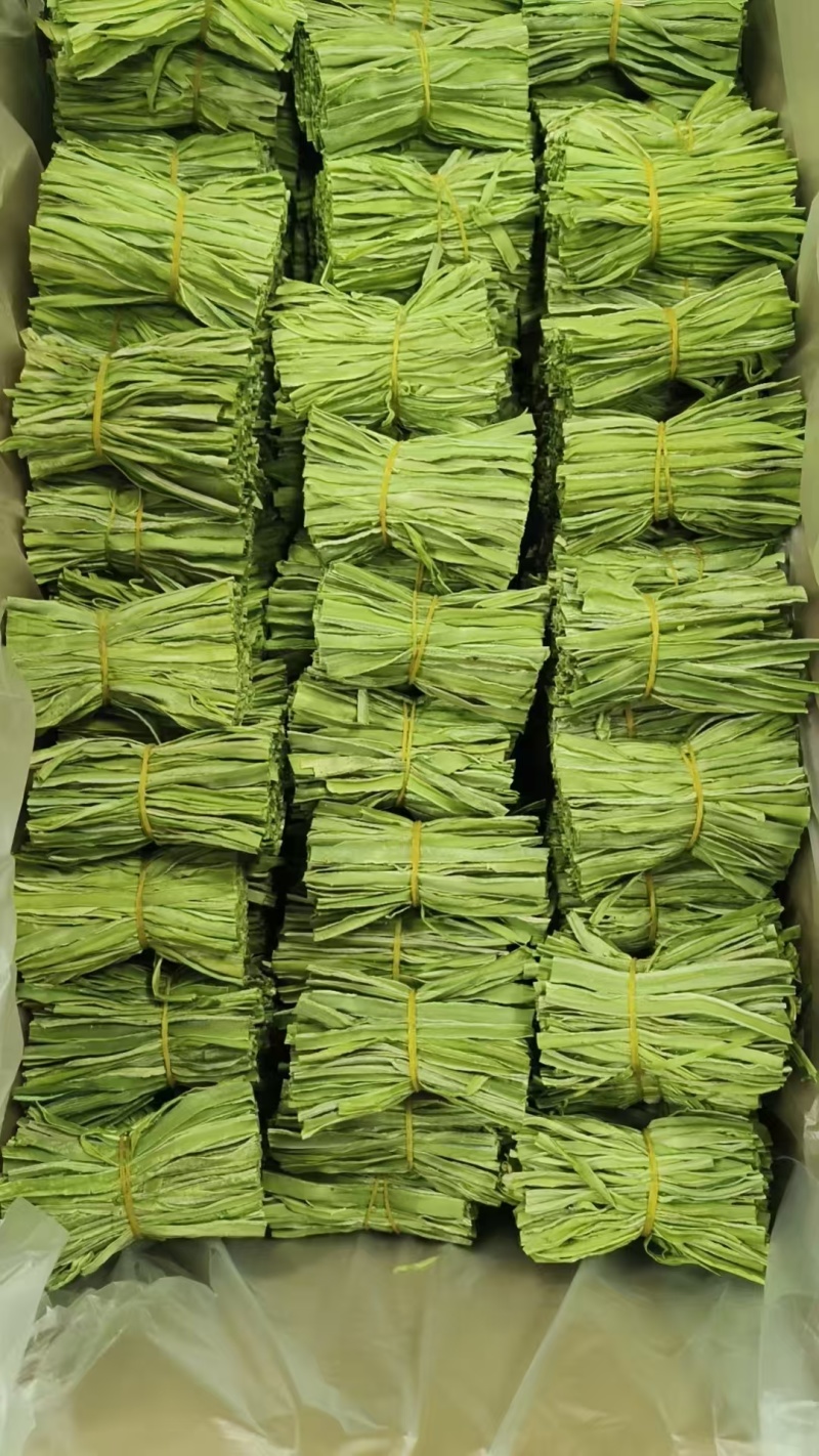 精品贡菜段（5公分10公分）产地直供货源充足全国接单
