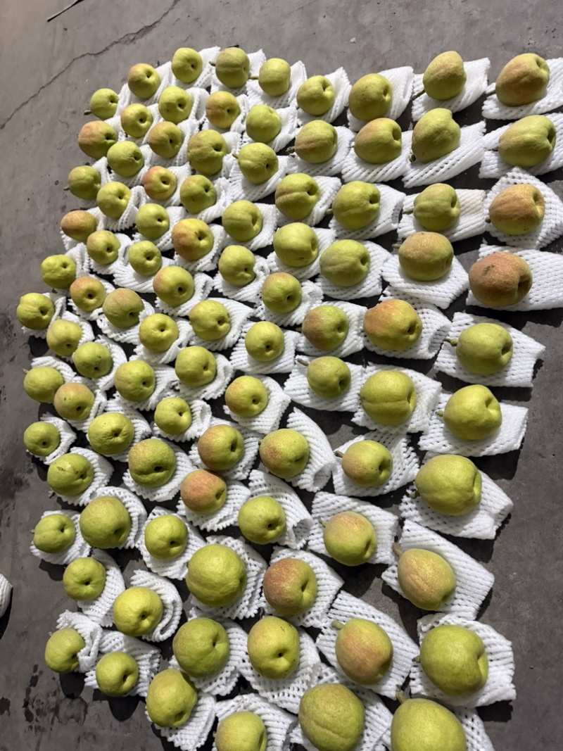 库尔勒香梨