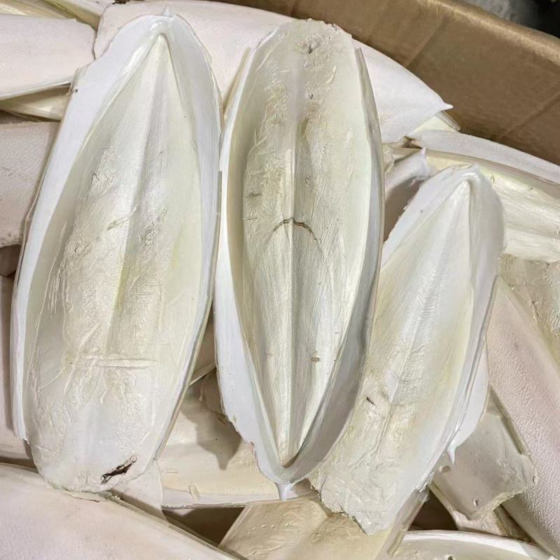 海螵蛸鱼骨乌贼骨中药材批发海螵蛸质量保证量大从优
