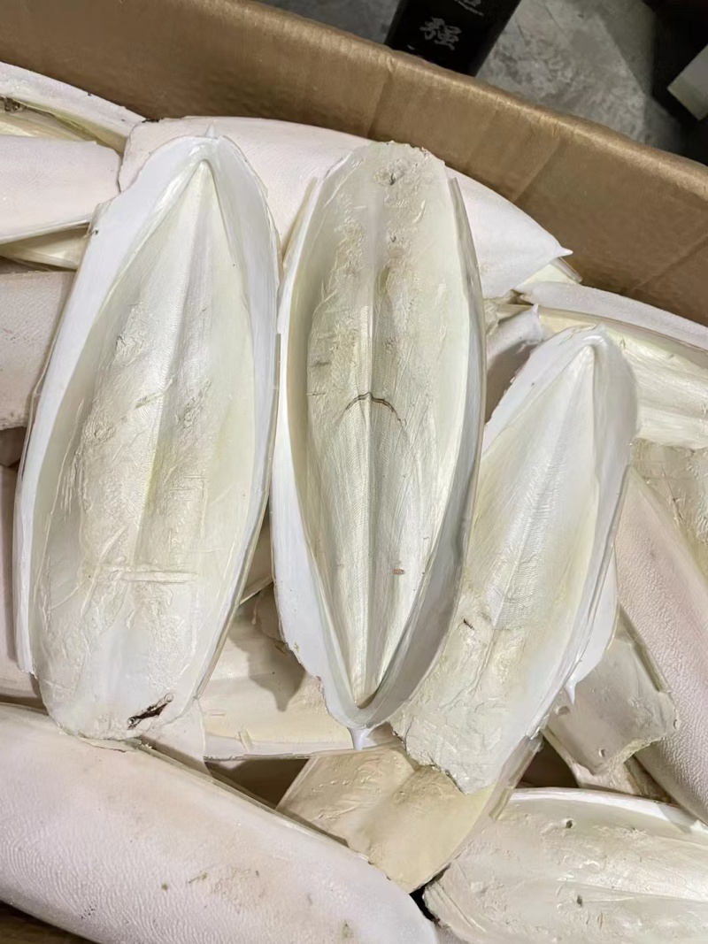 海螵蛸鱼骨乌贼骨中药材批发海螵蛸质量保证量大从优