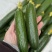 【水果黄瓜】黄瓜🥒小黄瓜清甜爽口减脂必吃榜可对接全国