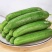 【水果黄瓜】黄瓜🥒小黄瓜清甜爽口减脂必吃榜可对接全国