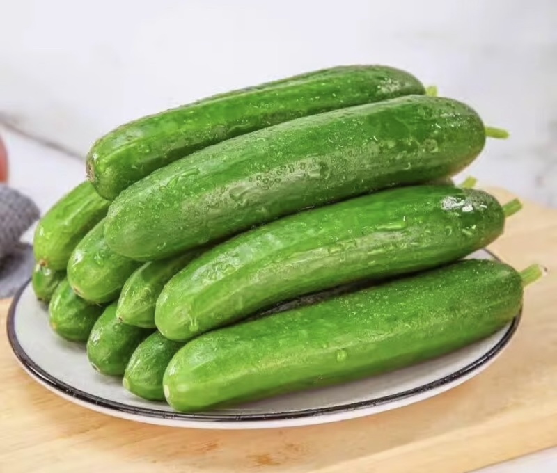 【水果黄瓜】黄瓜🥒小黄瓜清甜爽口减脂必吃榜可对接全国