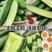 【水果黄瓜】黄瓜🥒小黄瓜清甜爽口减脂必吃榜可对接全国