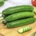 【水果黄瓜】黄瓜🥒小黄瓜清甜爽口减脂必吃榜可对接全国