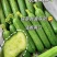 【水果黄瓜】黄瓜🥒小黄瓜清甜爽口减脂必吃榜可对接全国