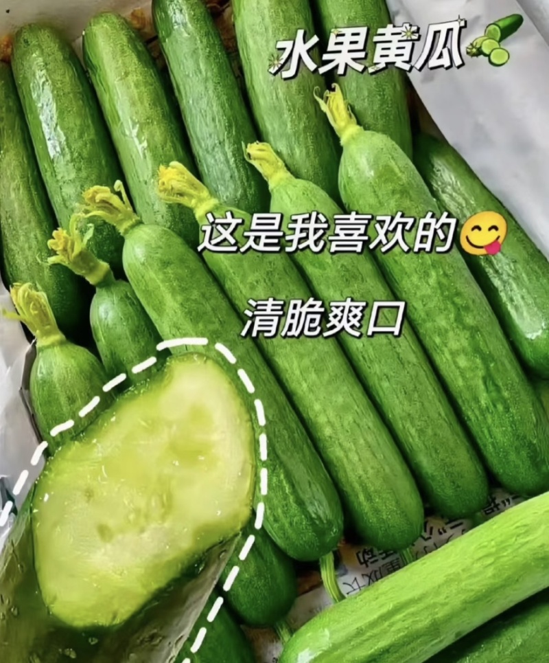 【水果黄瓜】黄瓜🥒小黄瓜清甜爽口减脂必吃榜可对接全国