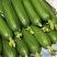 【水果黄瓜】黄瓜🥒小黄瓜清甜爽口减脂必吃榜可对接全国