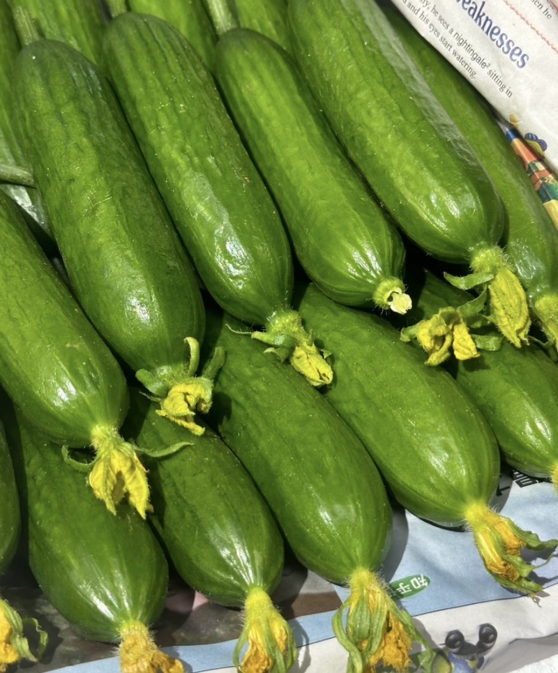 【水果黄瓜】黄瓜🥒小黄瓜清甜爽口减脂必吃榜可对接全国