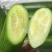 【水果黄瓜】黄瓜🥒小黄瓜清甜爽口减脂必吃榜可对接全国