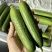 【水果黄瓜】黄瓜🥒小黄瓜清甜爽口减脂必吃榜可对接全国