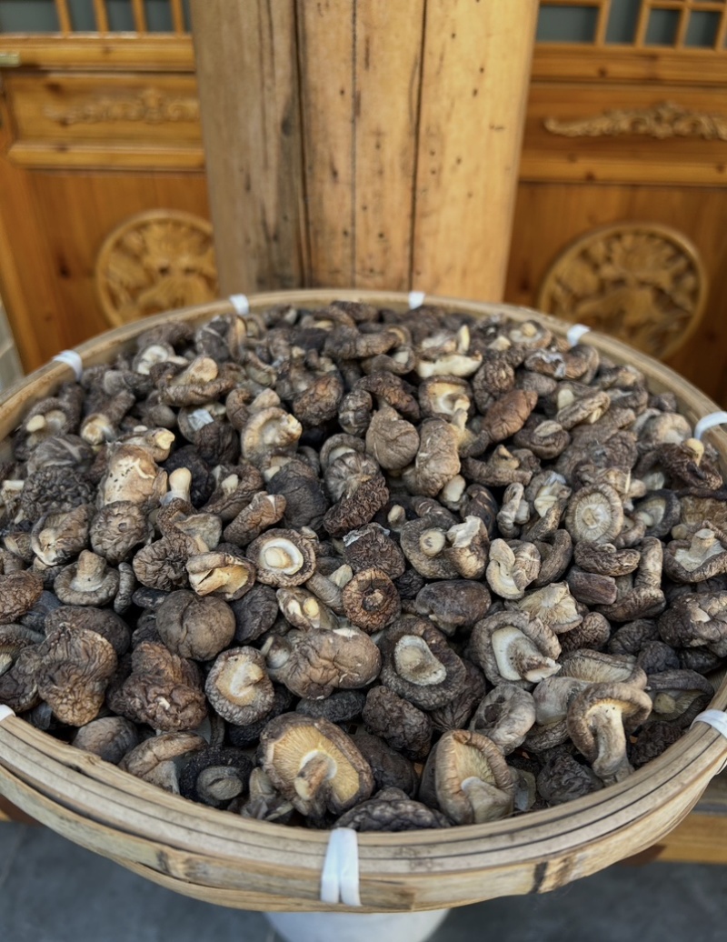 香菇干香菇精品干香菇对接批发采购商超欢迎来电