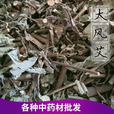 广西野生中药材大风艾艾纳香牛耳艾大风叶大枫草