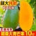 正宗大青芒一件代发批发团购直播基地直发