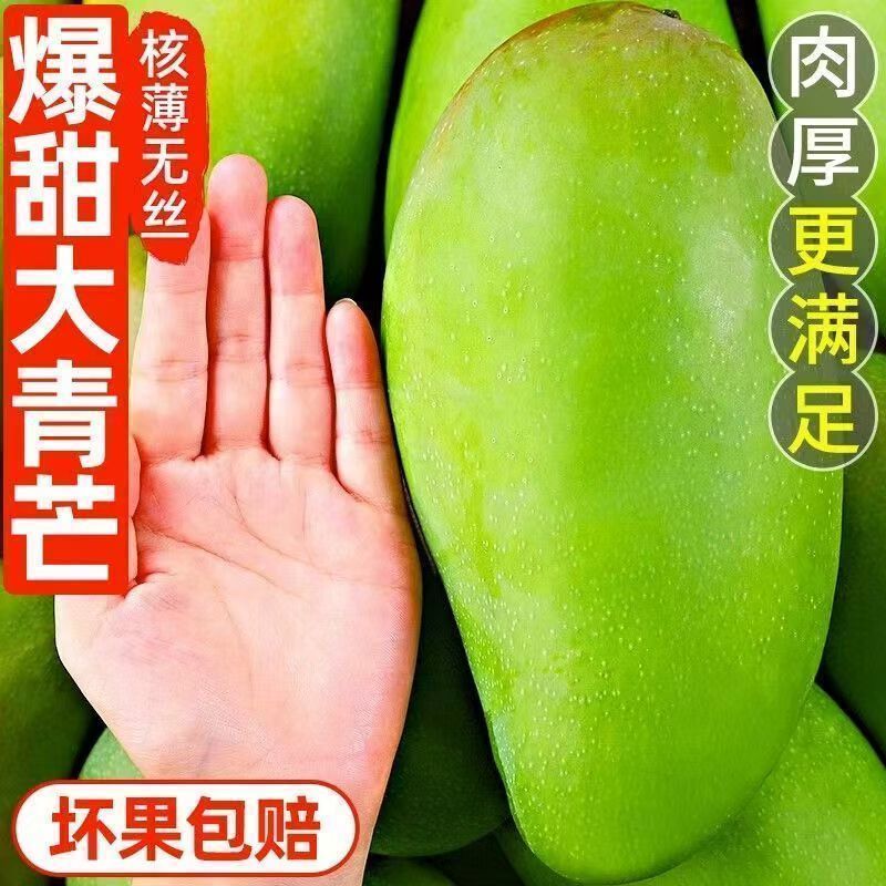 正宗大青芒一件代发批发团购直播基地直发