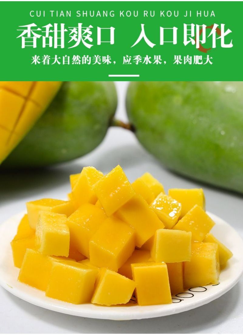 正宗大青芒一件代发批发团购直播基地直发