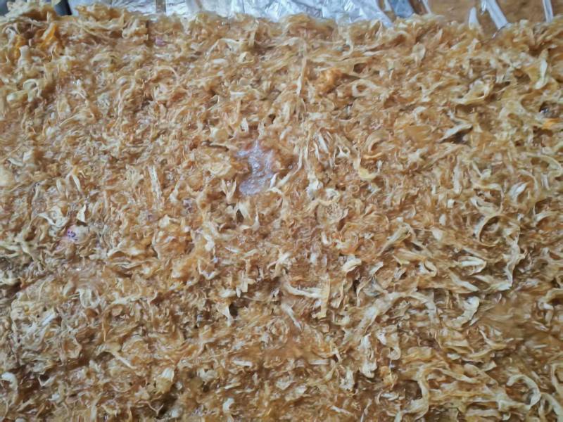 食品扇贝边港湾贝边食品级贝边嘎嘎干净的