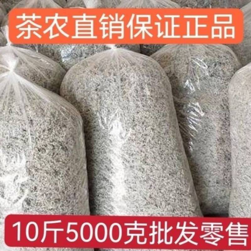 莓茶自产自销，自己家的种植基地工厂