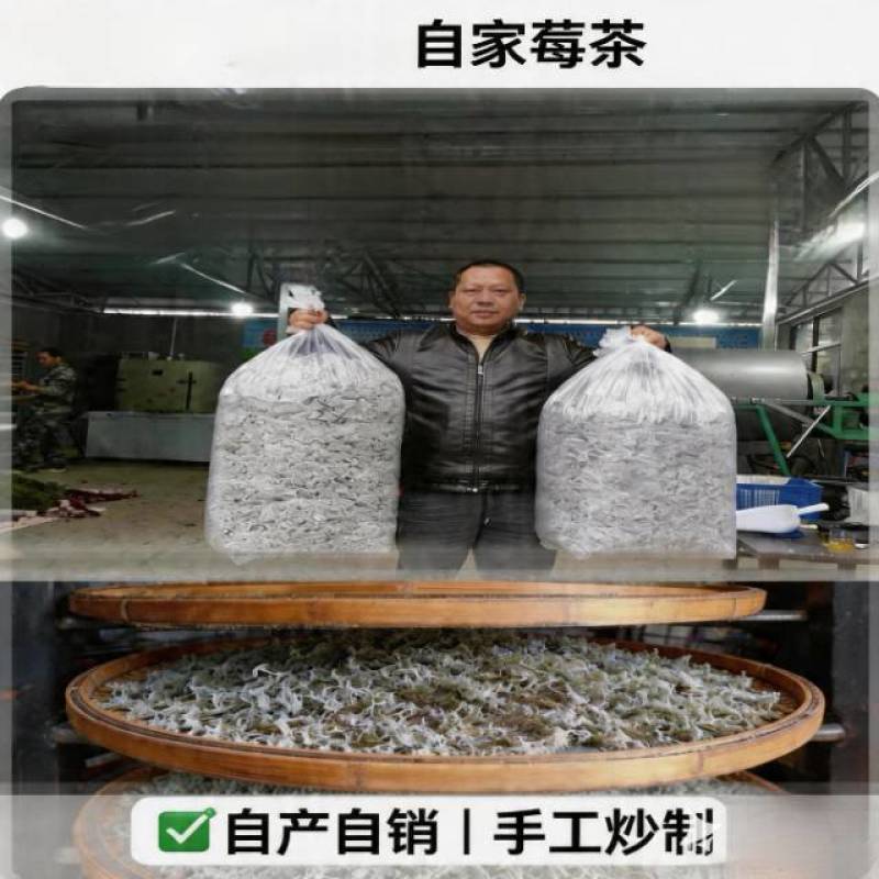 莓茶自产自销，自己家的种植基地工厂