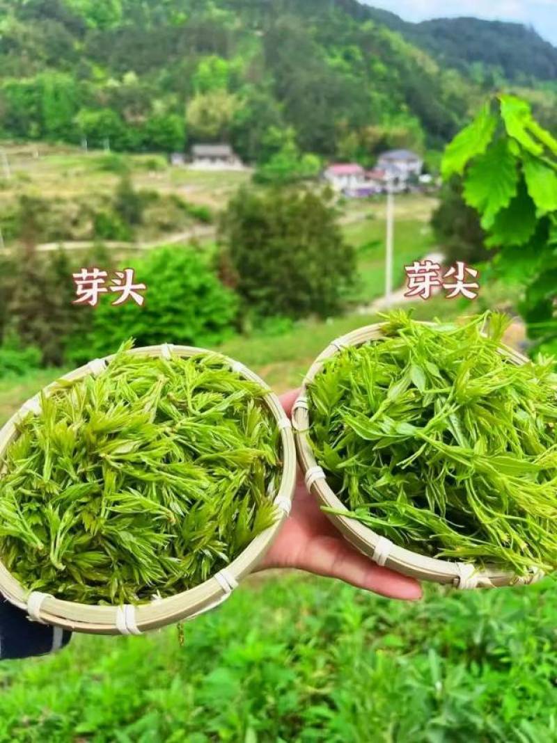 莓茶自产自销，自己家的种植基地工厂