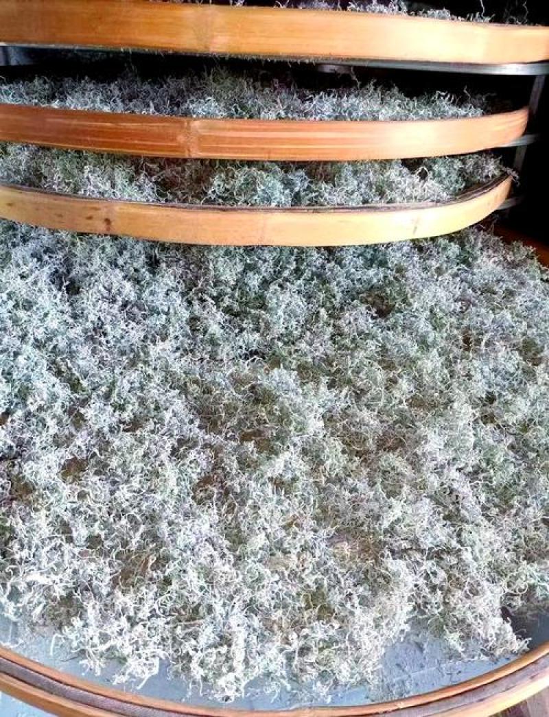 莓茶自产自销，自己家的种植基地工厂