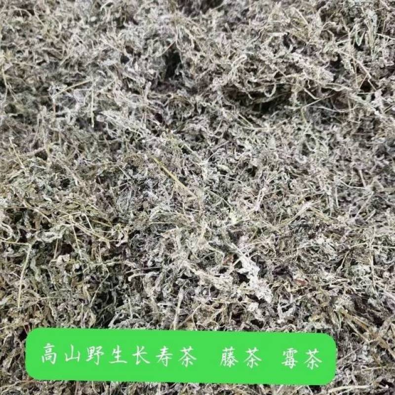 莓茶自产自销，自己家的种植基地工厂