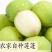 海南新鲜水果嫩莲蓬基地直供大量上市供货中，原产地供应全国