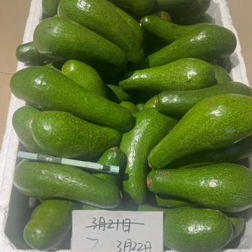 青瓜牛油果