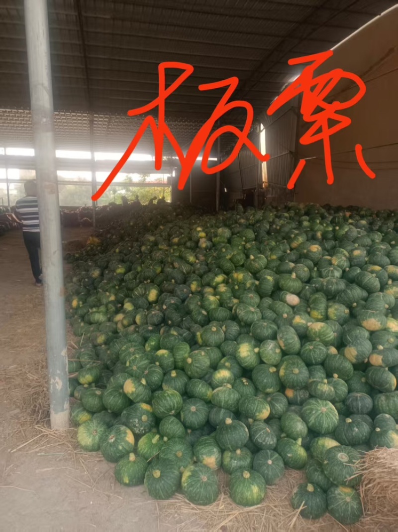 南瓜品质保证服务周到种类齐全欢迎联系沟通