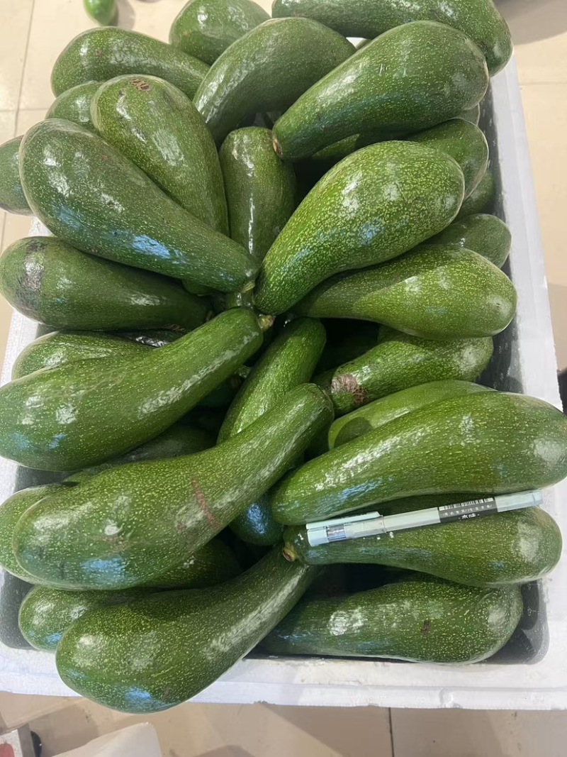 青瓜牛油果