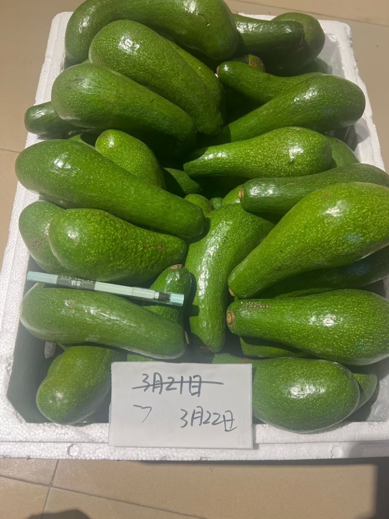 青瓜牛油果