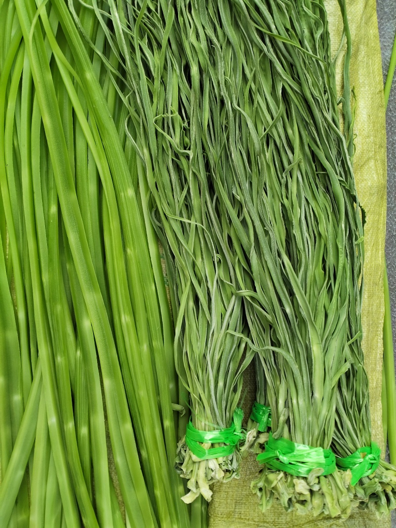 高山贡菜