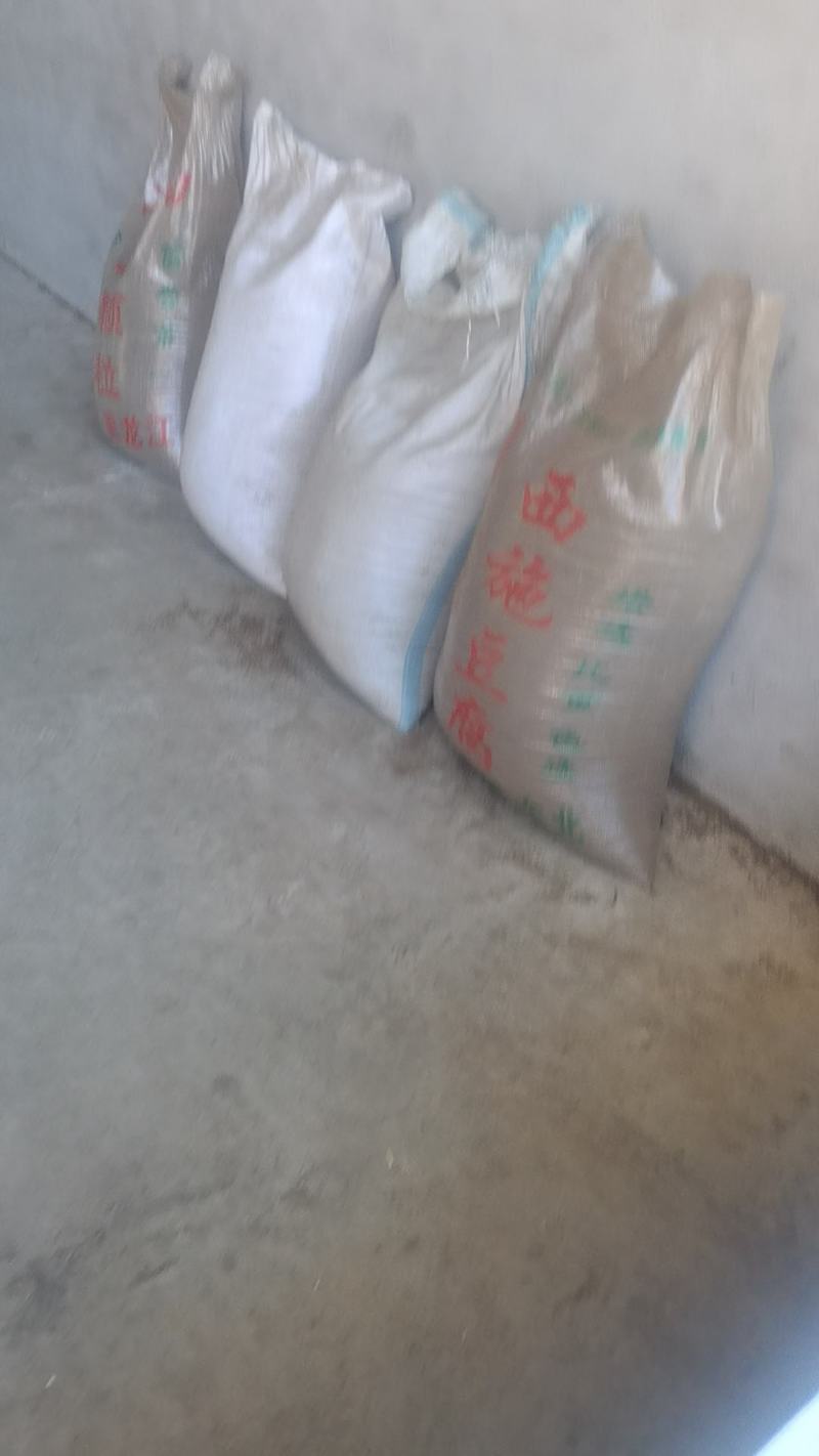 苏子