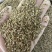 西餐厅调味料精品牛至披萨草欧芹罗勒迷迭香鼠尾草