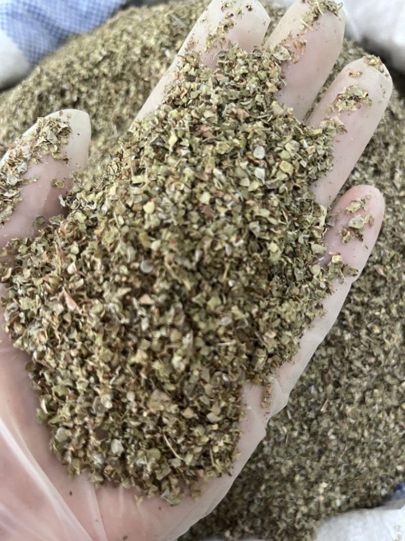 西餐厅调味料精品牛至披萨草欧芹罗勒迷迭香鼠尾草