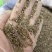 西餐厅调味料精品牛至披萨草欧芹罗勒迷迭香鼠尾草