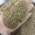西餐厅调味料精品牛至披萨草欧芹罗勒迷迭香鼠尾草