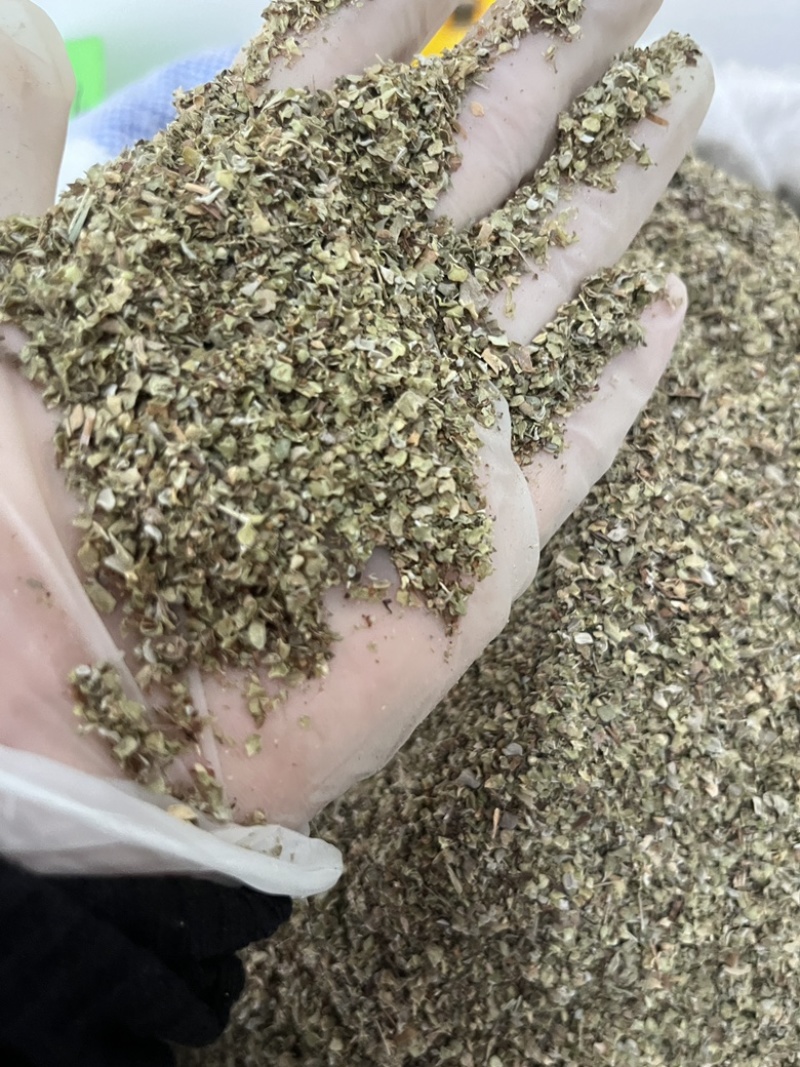 西餐厅调味料精品牛至披萨草欧芹罗勒迷迭香鼠尾草