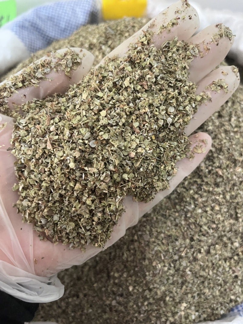 西餐厅调味料精品牛至披萨草欧芹罗勒迷迭香鼠尾草