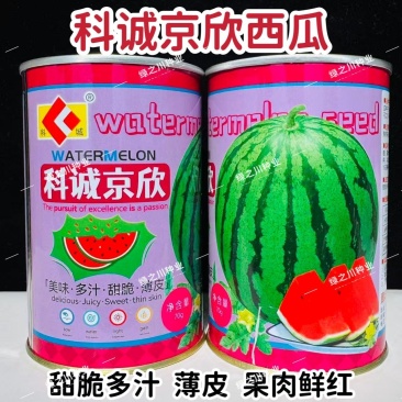 科诚京欣西瓜种子甜脆多汁蜜甜大果薄皮西瓜种籽不倒瓤鲜红瓤