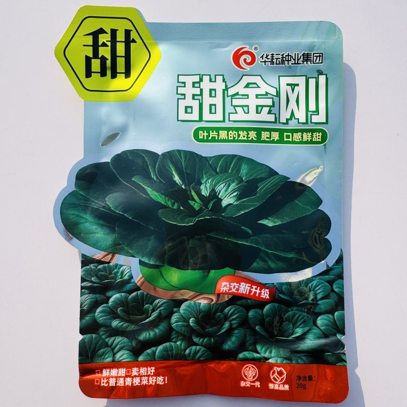 黑甜糯青菜种子黑叶菜秋季高产耐寒口感甜糯好吃四倍体苏州青