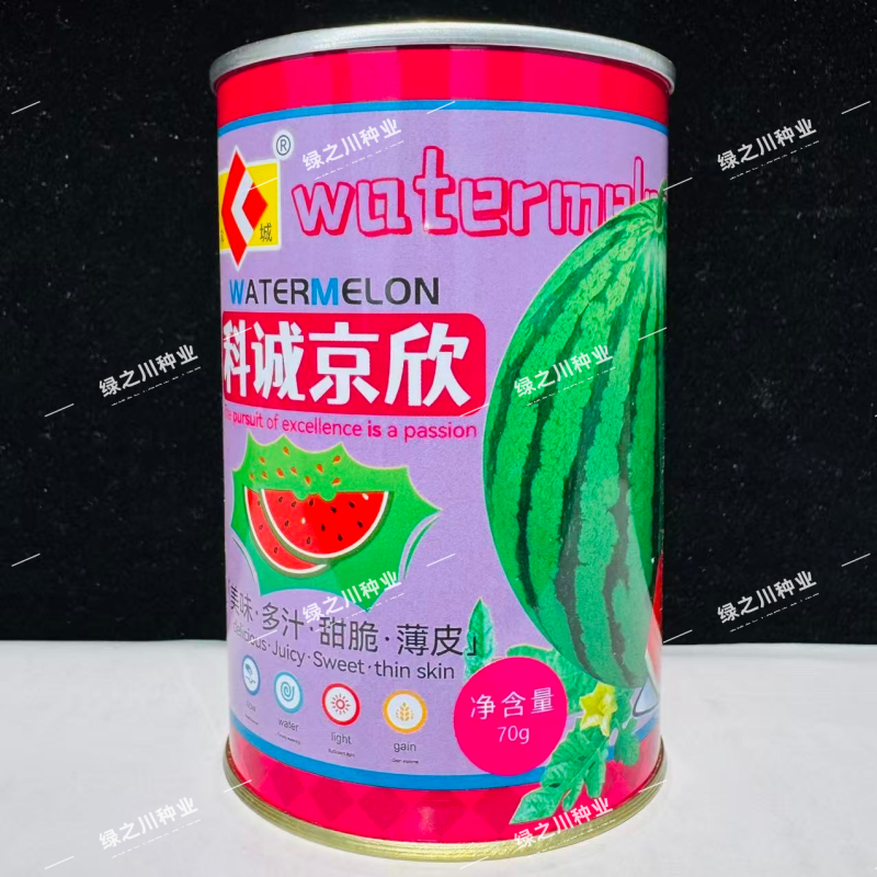 科诚京欣西瓜种子甜脆多汁蜜甜大果薄皮西瓜种籽不倒瓤鲜红瓤