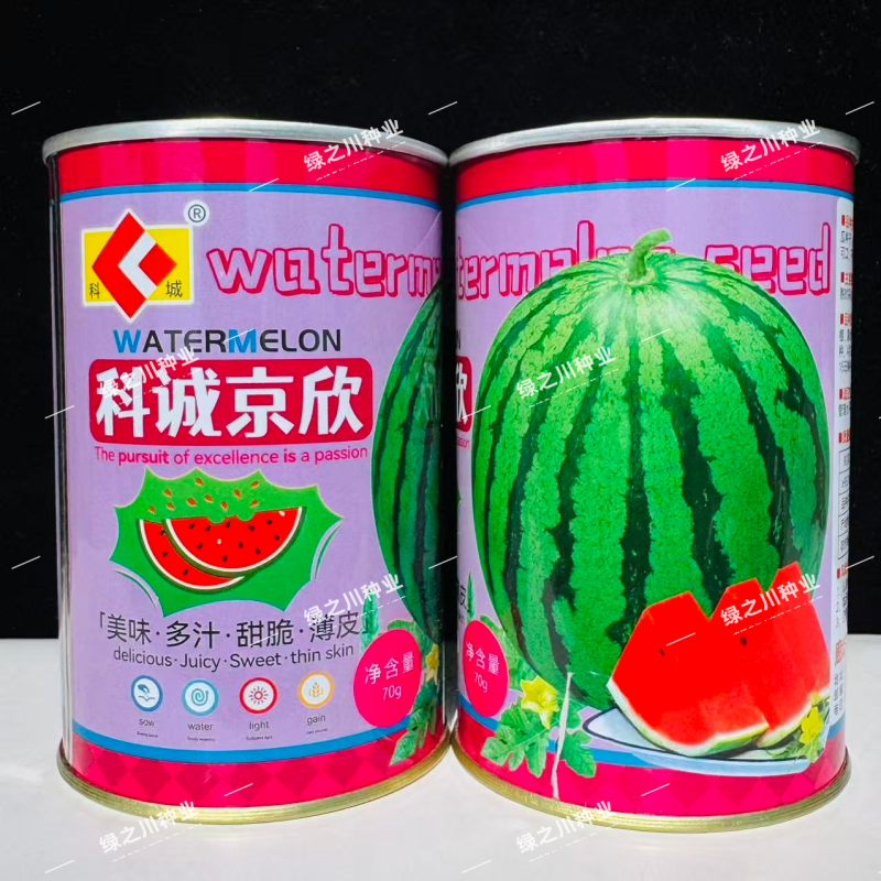 科诚京欣西瓜种子甜脆多汁蜜甜大果薄皮西瓜种籽不倒瓤鲜红瓤