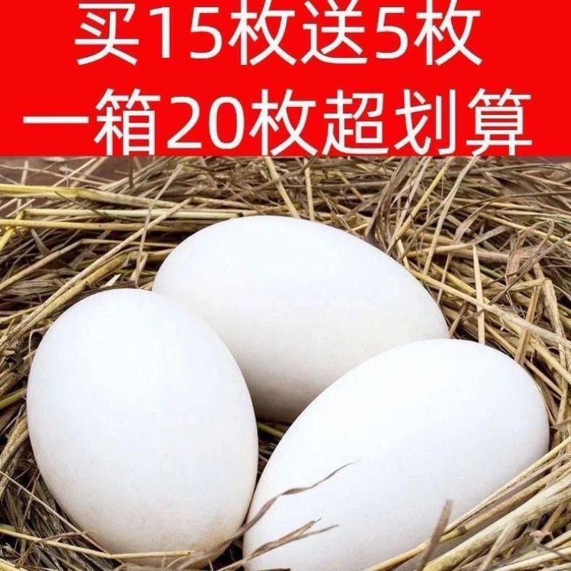 20个草窝农家大黄草鹅蛋窝散养大鹅蛋窝草窝五谷喂养