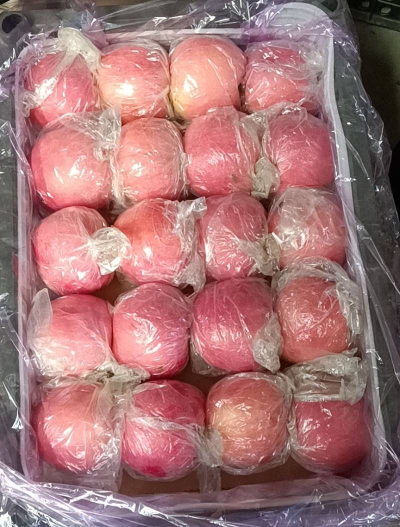 平原纸加膜红富士苹果/山西万荣苹果/货源充足/可全国发货