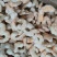 南美白虾碎虾仁，次虾仁，B级，适用虾滑，水饺，酒店